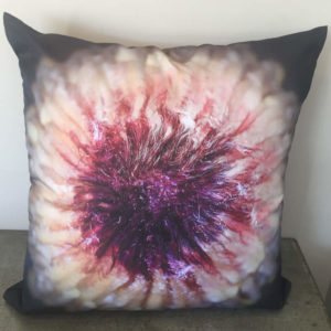 Protea Cushion