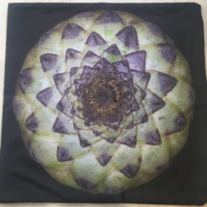 Expanding Star Cushion Cover